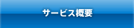 サービス概要